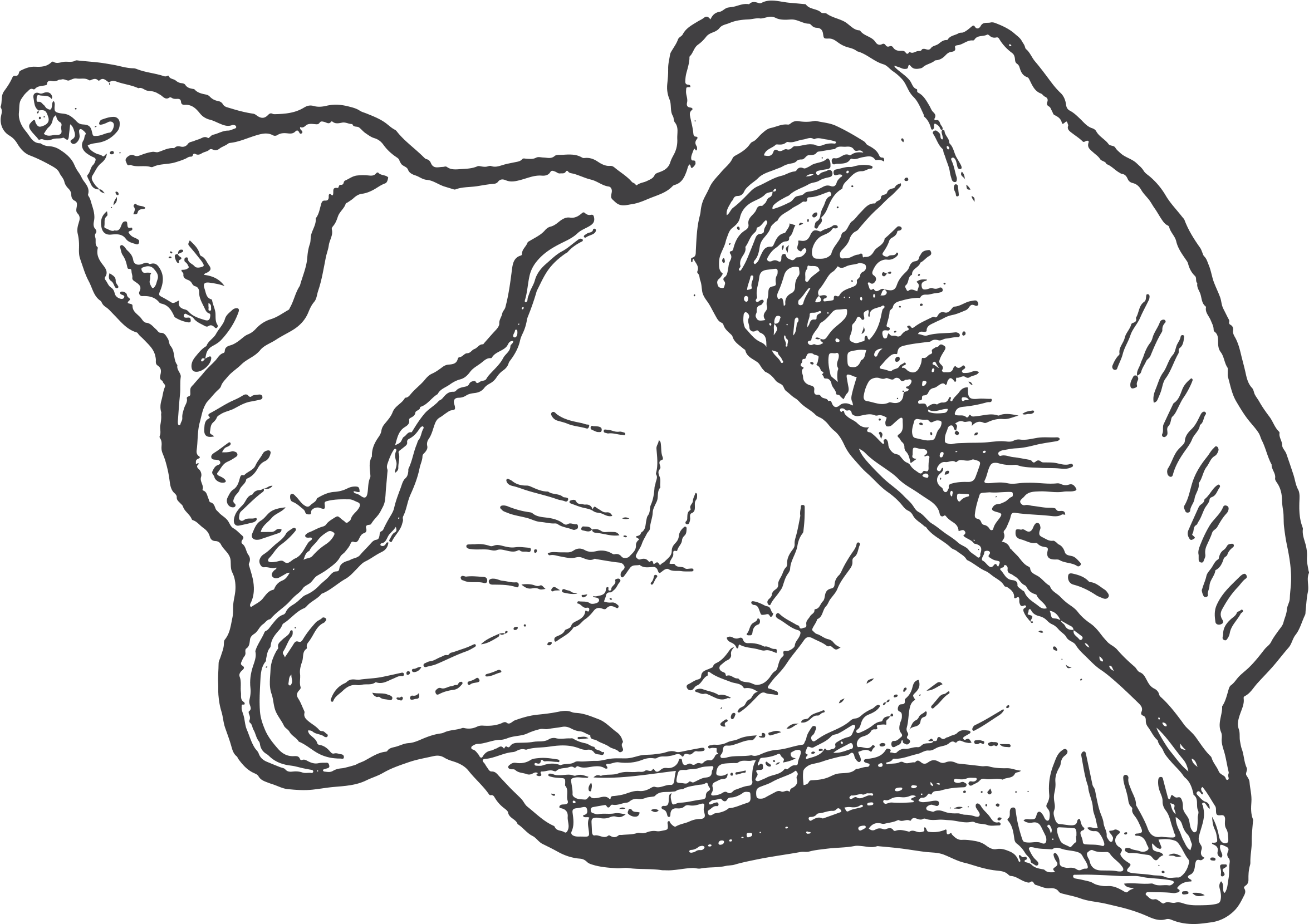 “each Trip Is A One Of A Kind And Yesterdays Excursion - Sketch (2400x1784), Png Download