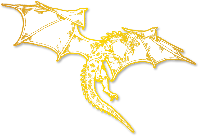 Dragon Pin - Illustration (1000x1000), Png Download