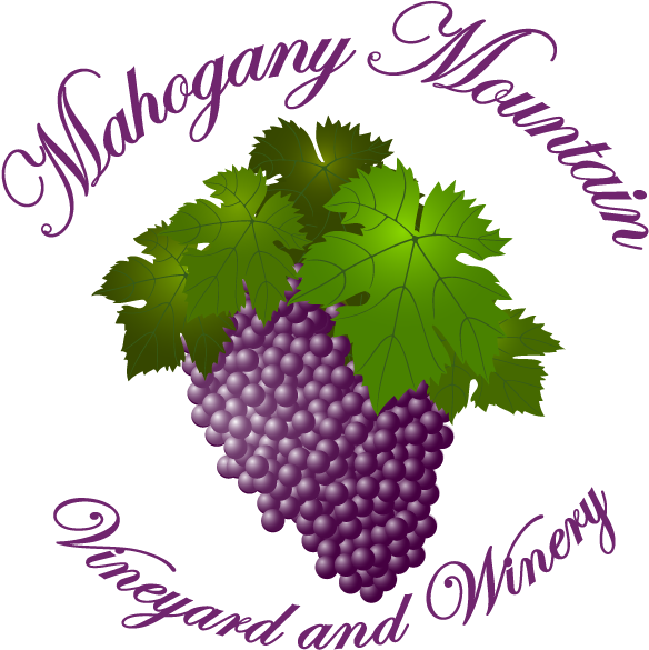 Mahogany Mountain Vineyard And Winery - Seedless Fruit (600x600), Png Download