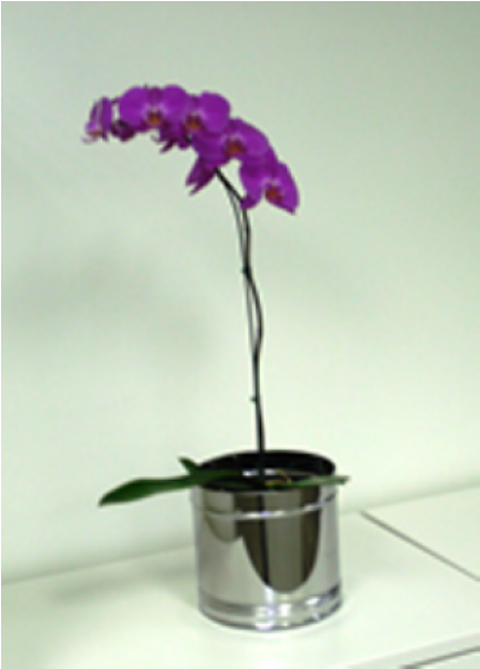 Cachepô De Mesa, 20 X 20 Cm, De Inox, Com Gaveta Coletora - Moth Orchid (600x600), Png Download