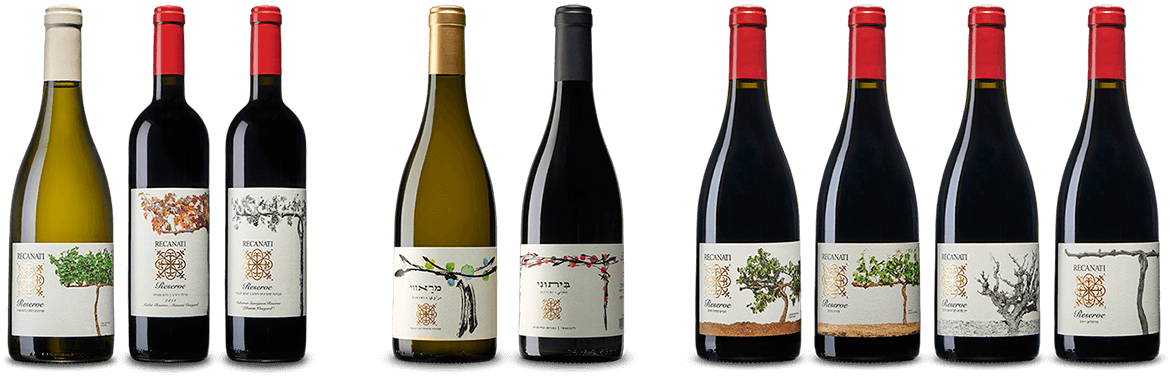 Single Vineyard Wine Series The Best Vineyard From - Glass Bottle (1170x377), Png Download