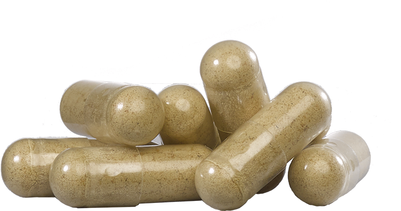 Our - Capsule (900x900), Png Download