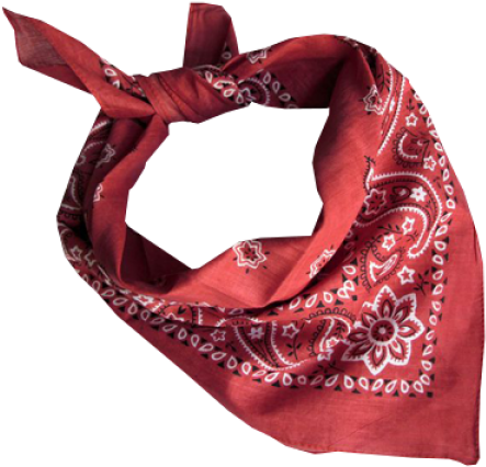 Scarf (600x600), Png Download