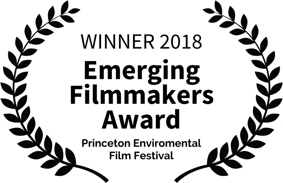 Emerging Filmmakers Award - Film Festival (1000x664), Png Download