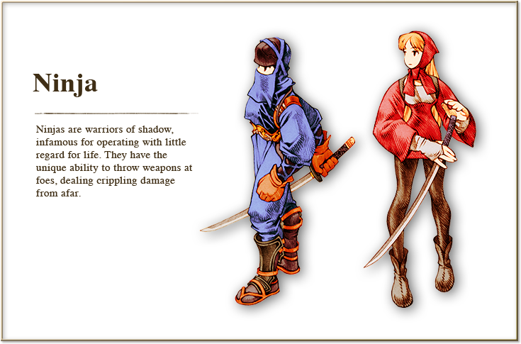Ninja Fft (900x560), Png Download