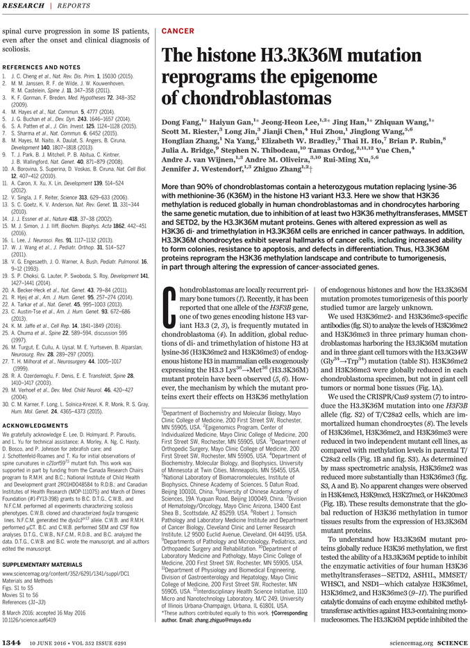 Ferderal Minimum Wage Poster (765x974), Png Download