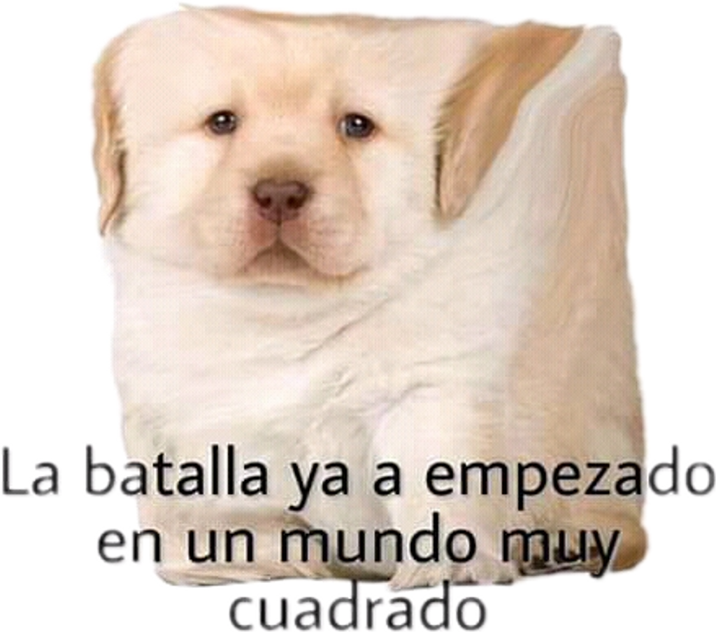 Momo Sticker - Labrador Retriever (1024x903), Png Download