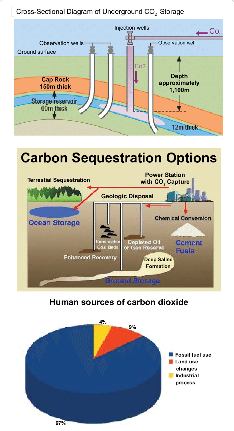 Carbon Dioxide Capture And Storage , A Process For - Carbon Capture Storage Definition (761x1396), Png Download