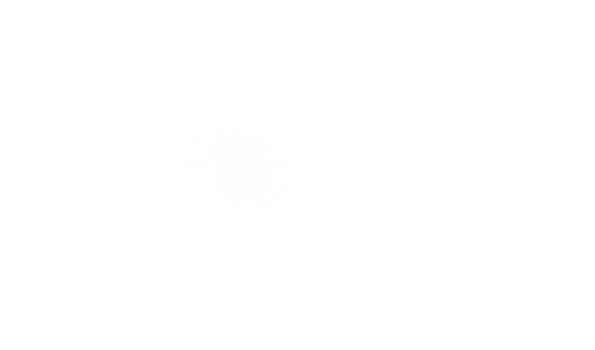 Ivory (1200x706), Png Download