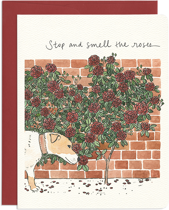 Stop And Smell The Roses - Motif (800x800), Png Download