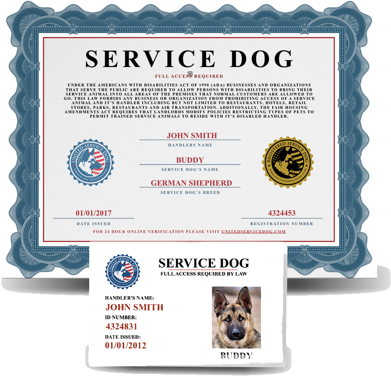 Fine Impressions Ecru Flat Cards A7 - Emotional Support Dog Free Certificate (1010x1010), Png Download