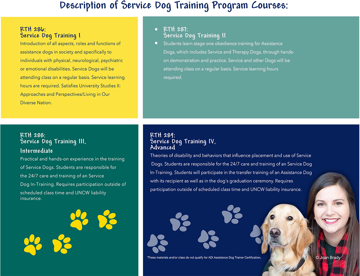 Starting On August 24, 2011, The First Class Of The - Companion Dog (1215x945), Png Download