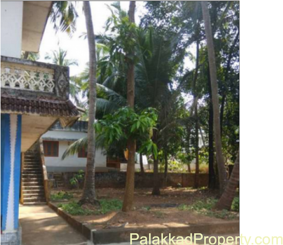 For Sale, 29cent Property With Cocunut Trees, Mango - Attalea Speciosa (640x480), Png Download