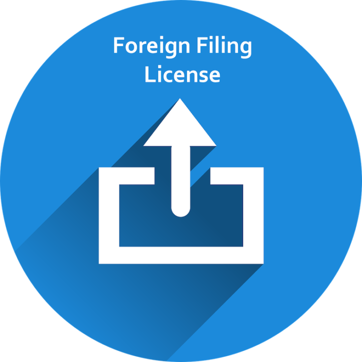 Foreign Filing License In India - Social Media Icons Imo (736x736), Png Download