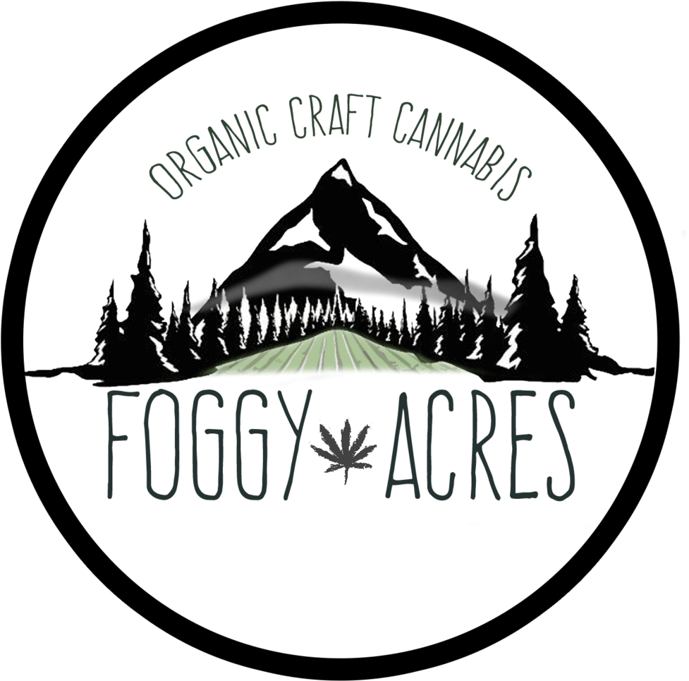 Foggy Aces Main Logo Final 20181210 Flatten Format=1500w (1000x998), Png Download