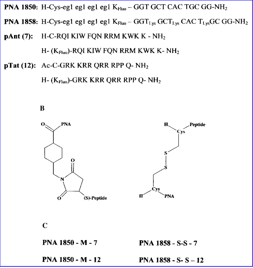 Chemical Structure Of The Two Different Couplings, - Chemical Composition Of Peptides (850x899), Png Download