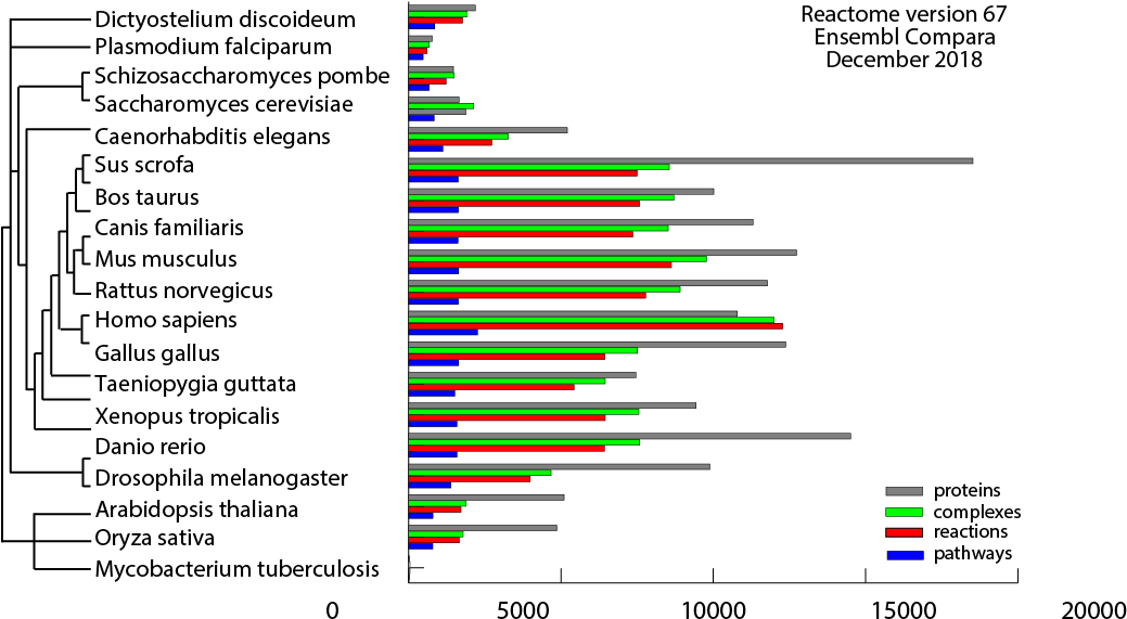 Statistics - Diagram (1043x597), Png Download