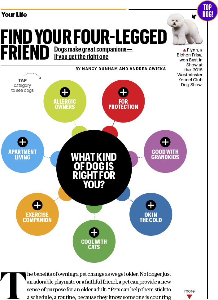 Cover - Circle (768x1024), Png Download