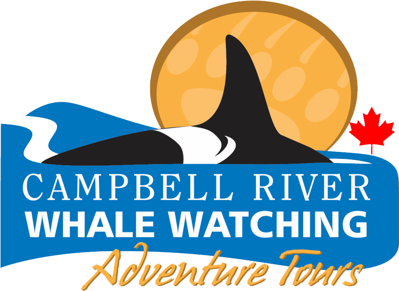 Campbell River Whale Watching And Adventure Tours (814x599), Png Download