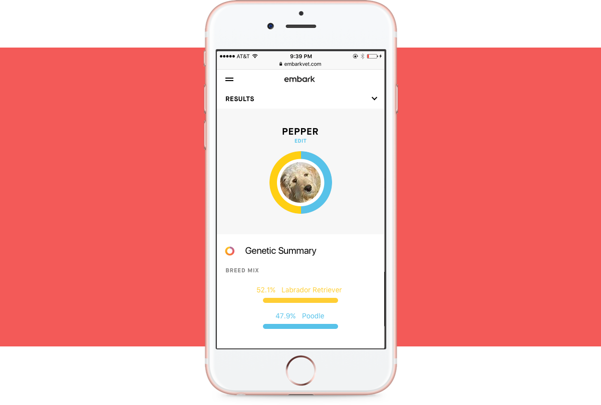 Embark Result Example - Iphone (1200x809), Png Download