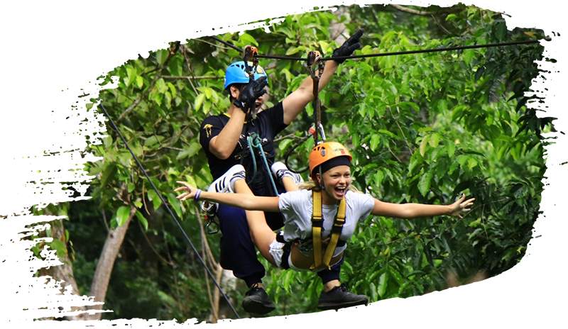 Phuket's Ultimate Jungle Experience - Extreme Sport (800x464), Png Download