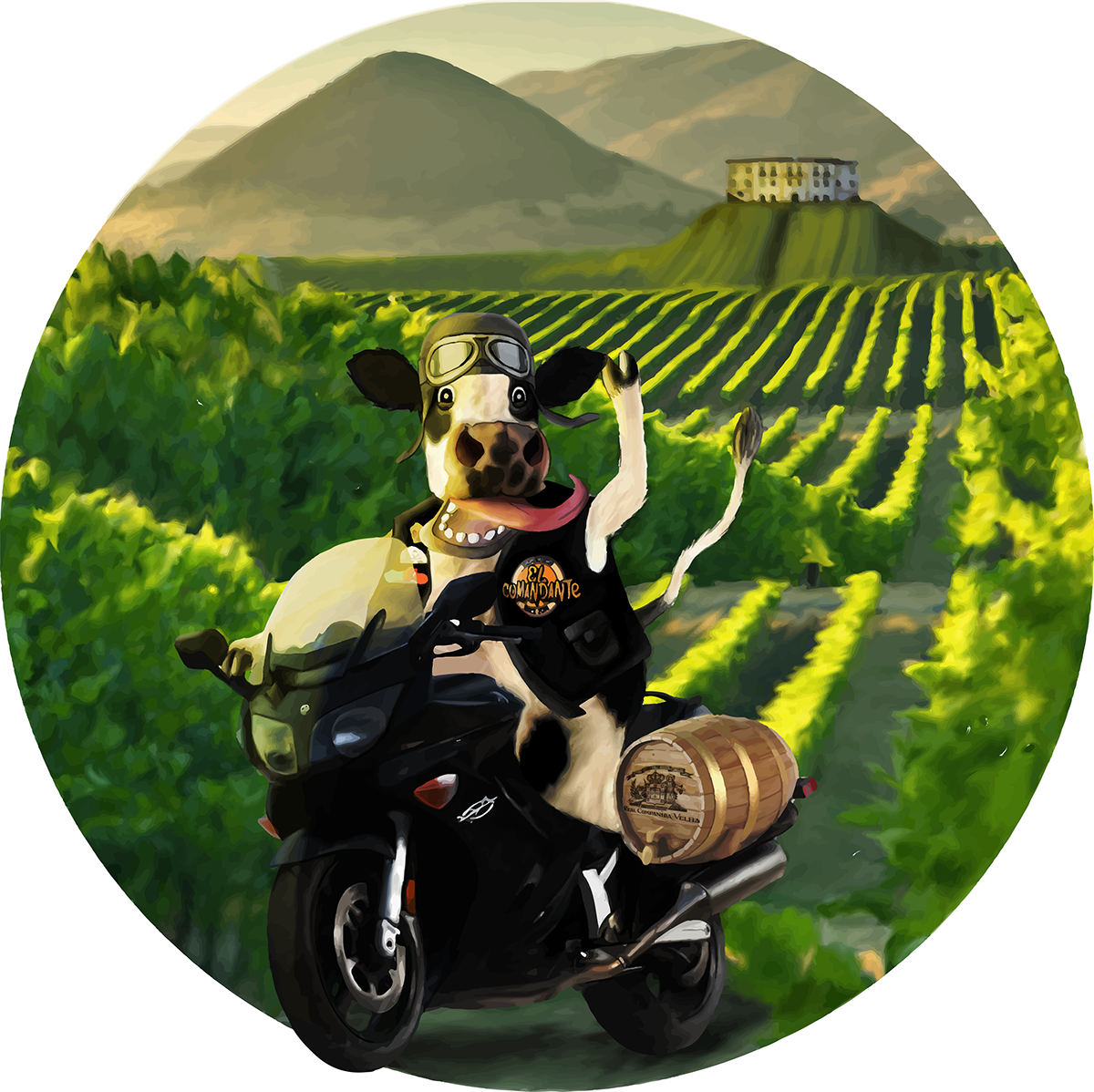 Test - Illustrator - Motorcycle (1200x1198), Png Download