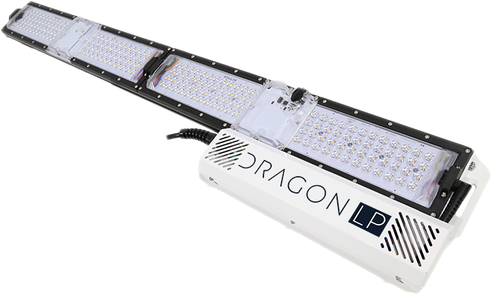 Direct Supplier With Financing For Commercial Grow - Dragon Led Grow (800x533), Png Download