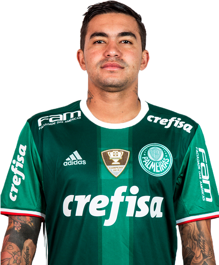 Dudu Png - Palmeiras 2018 (768x1024), Png Download