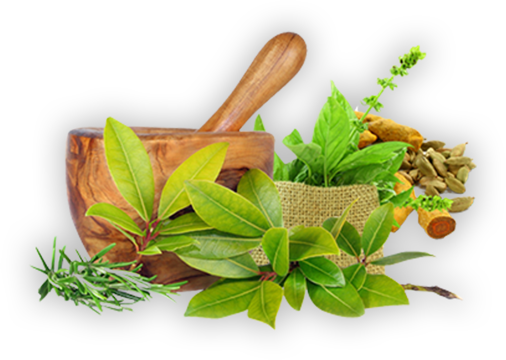 Ayurveda Pharmacy Wholesaler - Ayurveda Png (1123x733), Png Download