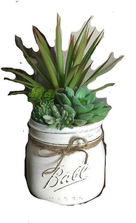 Flowerpot (570x910), Png Download