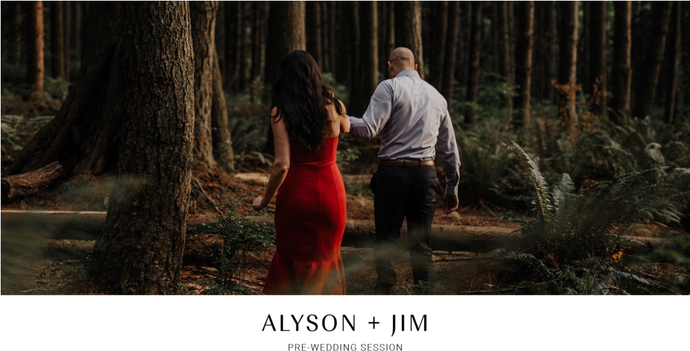 Stanley Park September Engagement Session - Old-growth Forest (1000x538), Png Download
