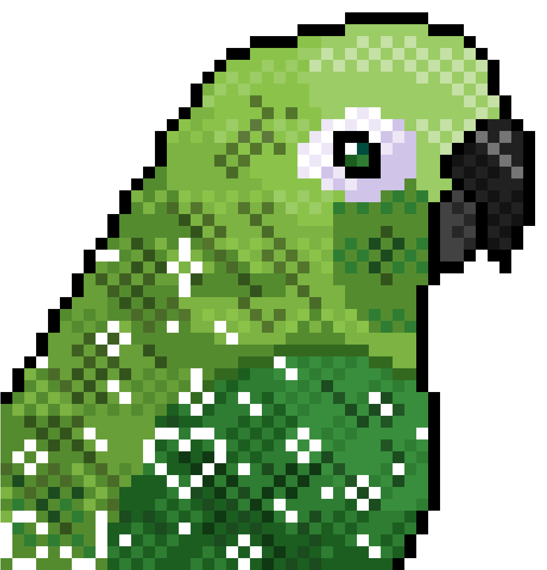 1200 X 1200 1 - Green Cheeked Conure Art Transparent (1200x1200), Png Download