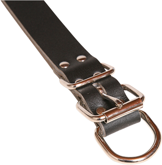 Taurus Drover Leather Dog Collar With Dee Chain 25x570mm - Strap (763x571), Png Download