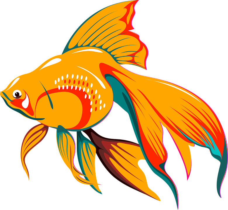 Fish Graphics Group Jpg Freeuse Download - Fish Clipart Png Gif (780x720), Png Download