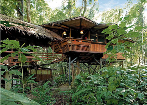 View The Tree House Resort, Tree House Resort Playa - Tree House Lodge Costa Rica (960x400), Png Download