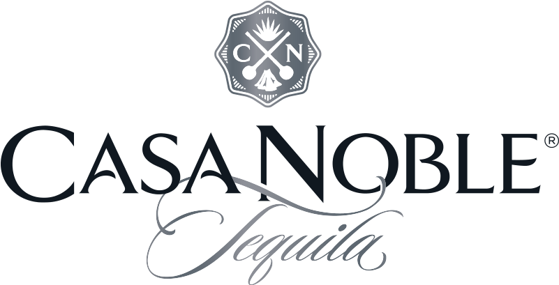 Web Png-csn 2 Color With Gradients Horizontal Logo - Graphics (800x800), Png Download