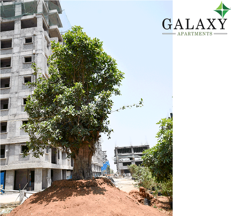 Project Status - - Penthouse Apartment (1000x750), Png Download