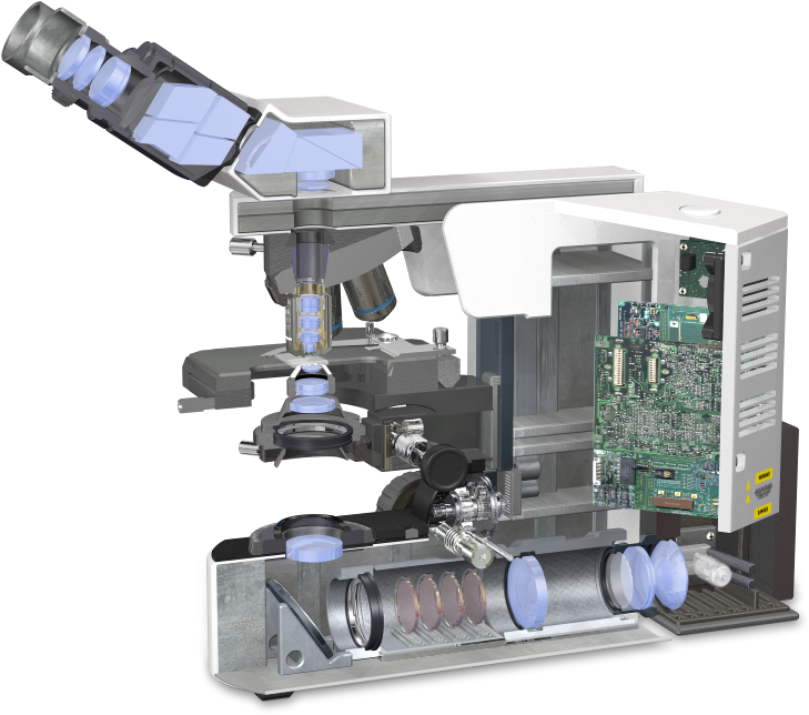 Transmitted Light Microscopy Optical Pathways - Machine (794x666), Png Download