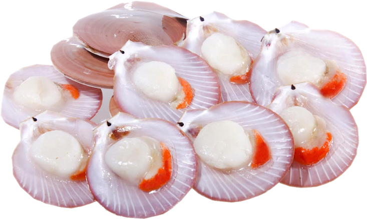 Image01 - Pt Prima Cakrawala Abadi (734x489), Png Download