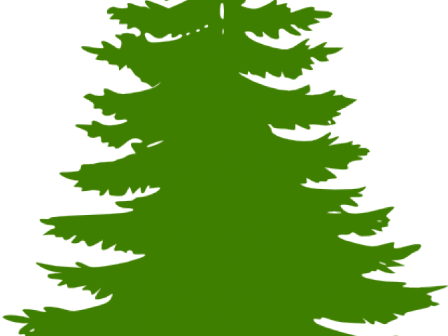 Logo Dengan Pohon Cemara - Camp Winnipesaukee (640x480), Png Download