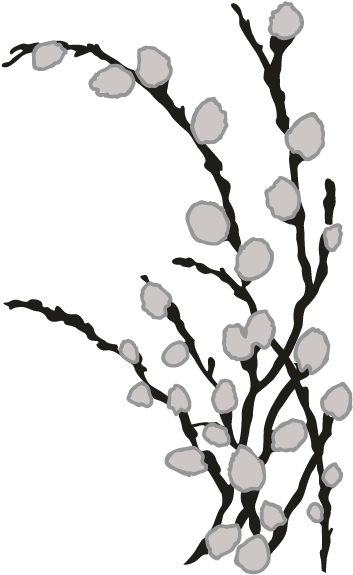 Smock Pussy Willow Motif - Illustration (696x696), Png Download
