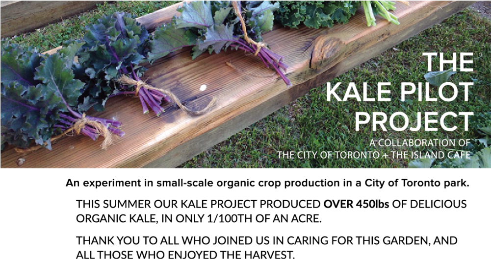 Kale Project Fall (1000x560), Png Download