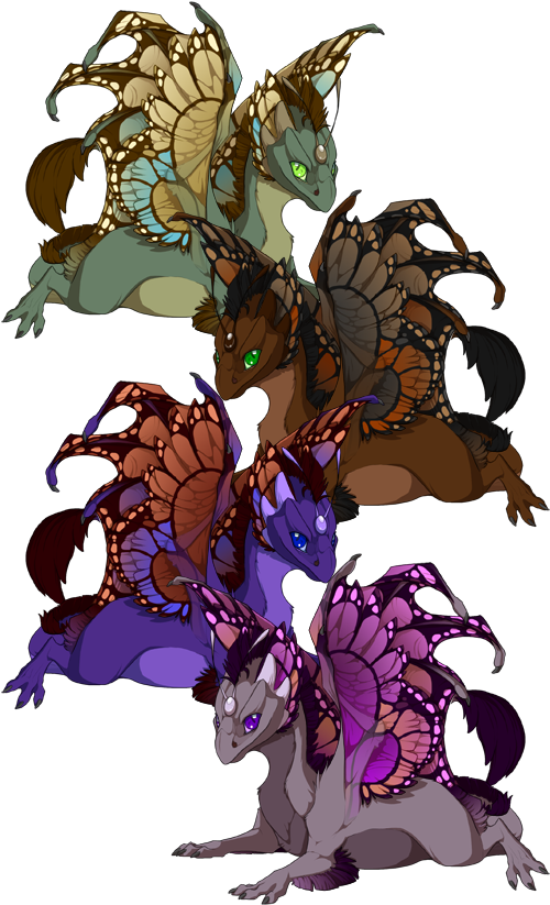 Butterfly Examples - Cartoon (499x835), Png Download