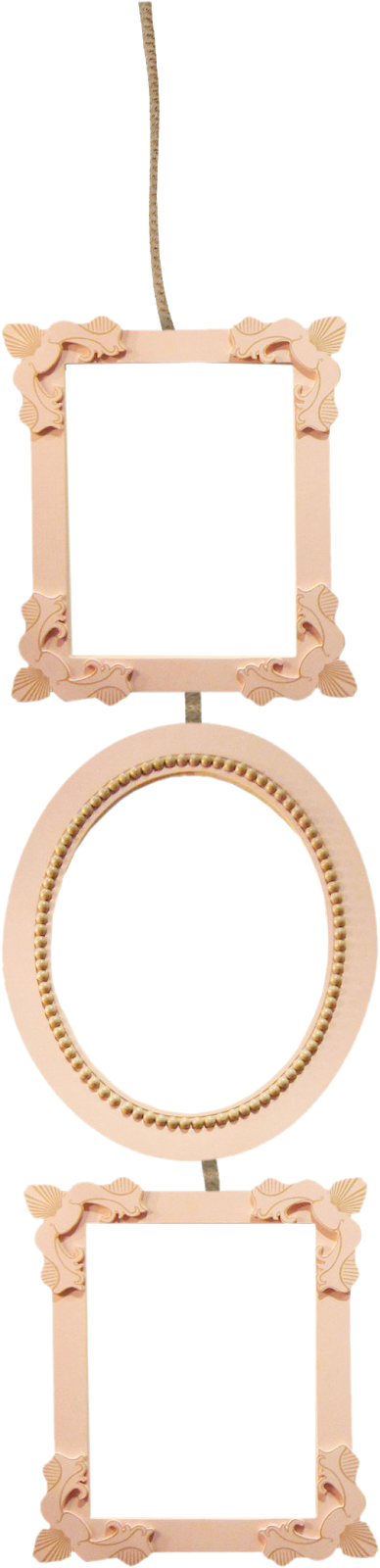 Wedding Photo Frames Png Format Free Download - Circle (388x1600), Png Download