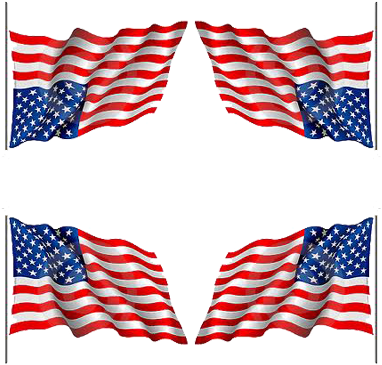 Bandera De Estados Unidos Oleando (800x800), Png Download