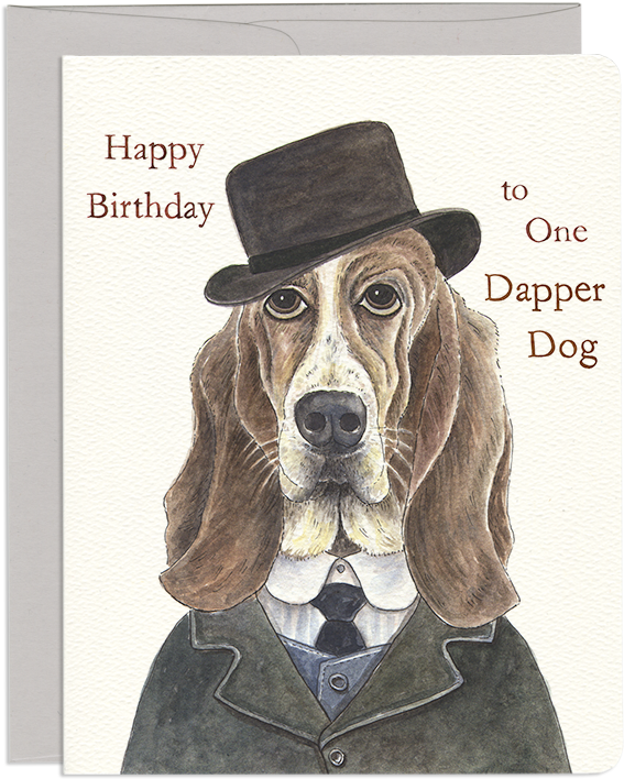 Humorous John Woofson Birthday Greeting Card - Basset Hound (800x800), Png Download