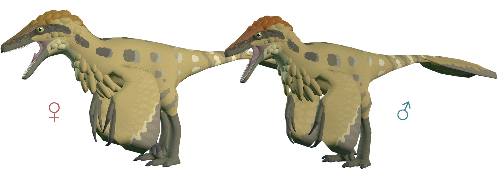 Sunrise Deinonychus The Archotek Project - Velociraptor (1651x564), Png Download