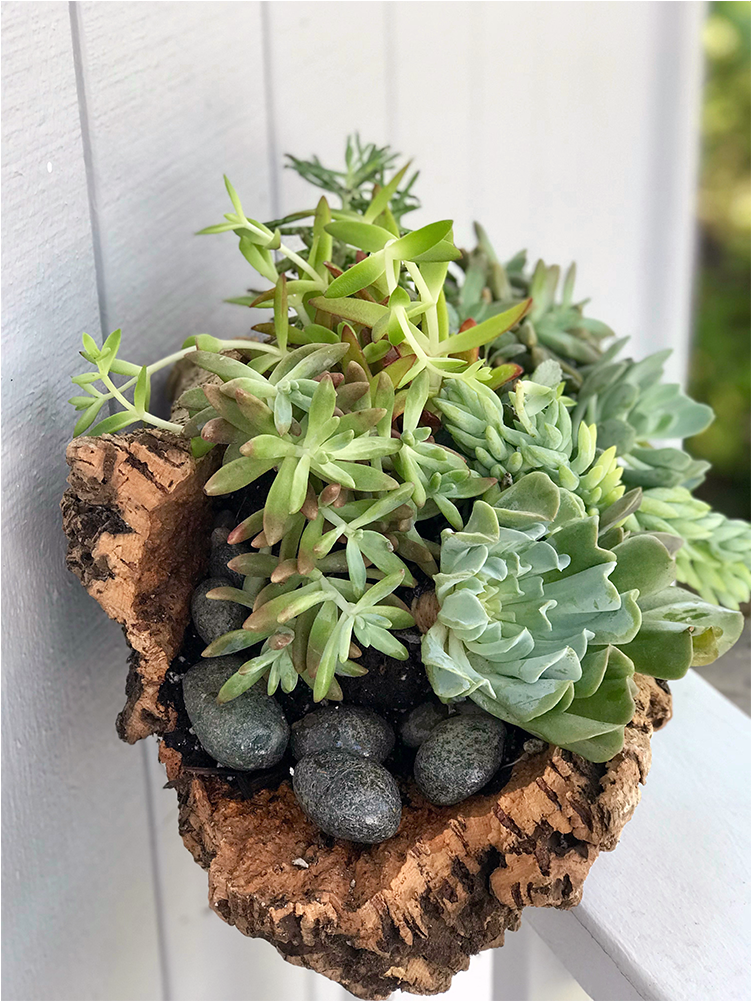 Flower Delivery In Marin, Novato, San Rafael And The - Flowerpot (1000x1000), Png Download