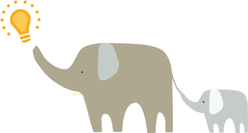 Elephant - Indian Elephant (855x455), Png Download