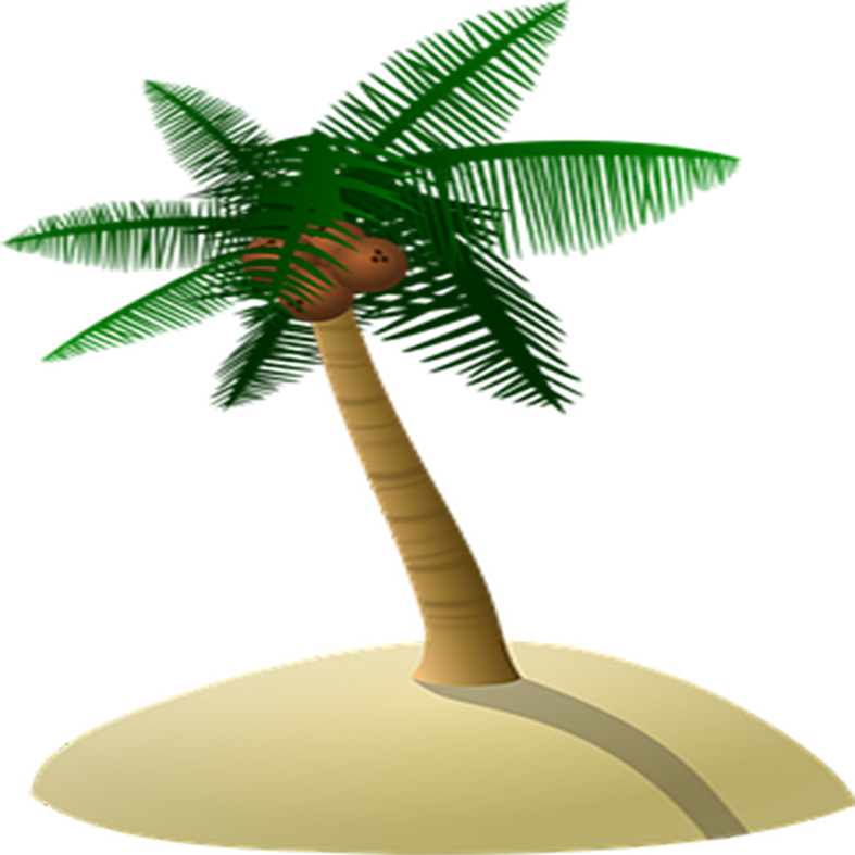 Arecaceae Coconut Tree Island Free Download Png Hq - Gambar Pohon Kelapa Kartun (787x787), Png Download